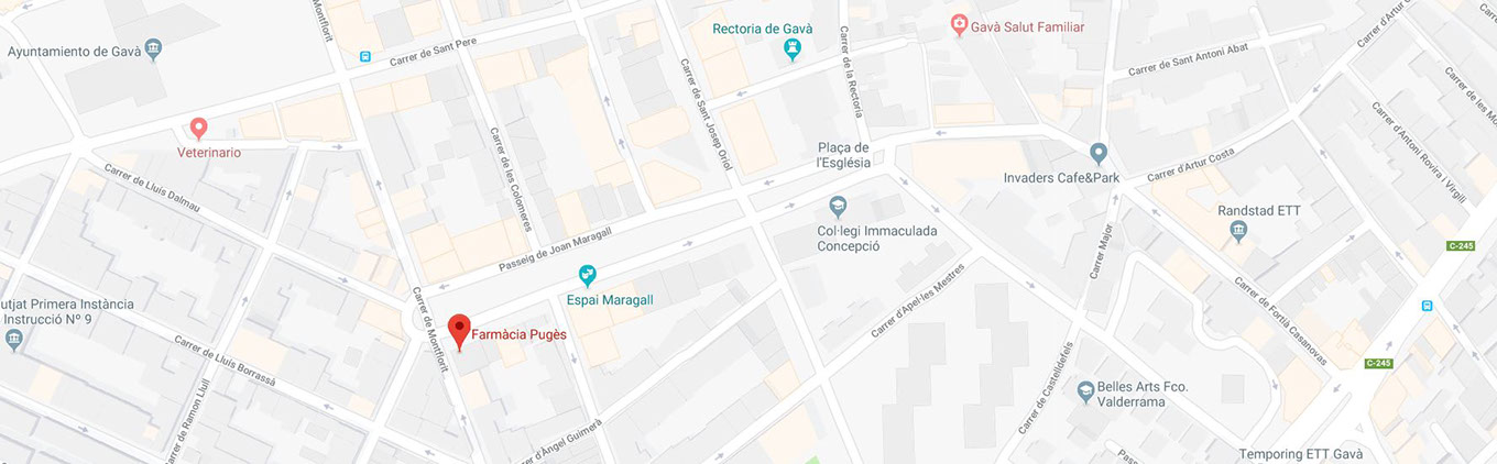 google-farmacia-puges-gava